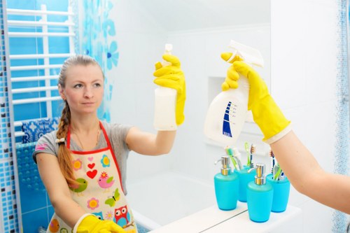 Window cleaning service for Croydon homes and residential properties