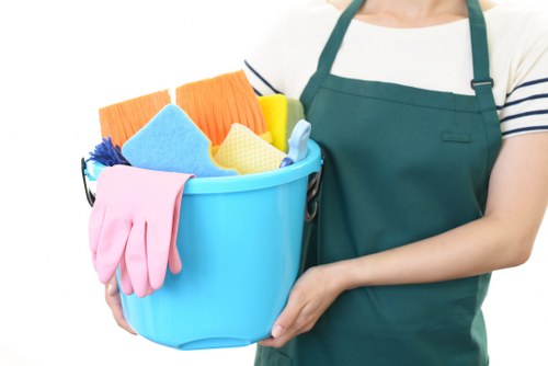 Carpet cleaning appointment terms and service conditions