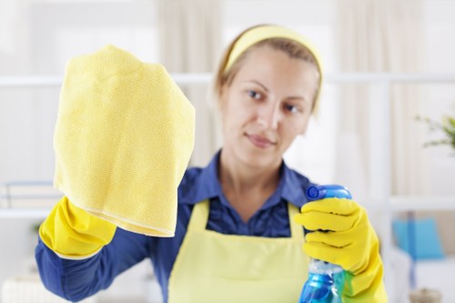 Domestic cleaner working in a Croydon home living room