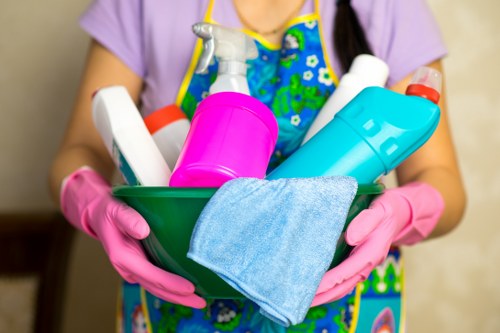Professional carpet cleaning service in Croydon restoring a fresh carpet surface