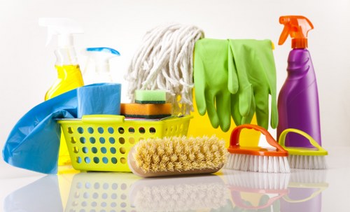Local cleaners working in a Croydon apartment