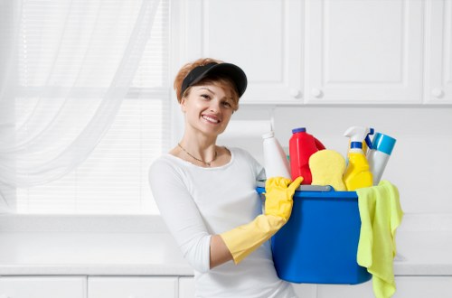 Secure carpet cleaning payment page with encryption and card options