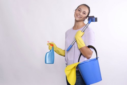 Deep cleaning a built-in oven in Croydon