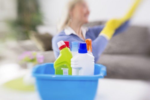 Local cleaner supporting a Croydon flat with scheduled upkeep