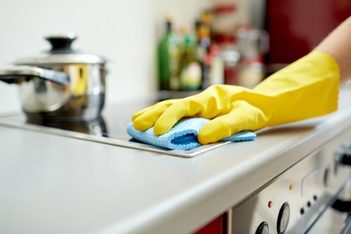 Technician treating a pet accident stain in a Croydon flat