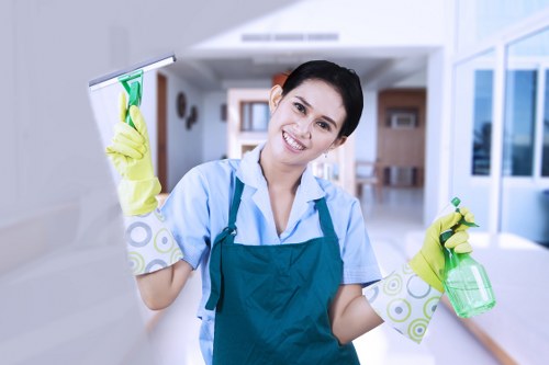 Deep mattress cleaning process for residential or rental property in Croydon