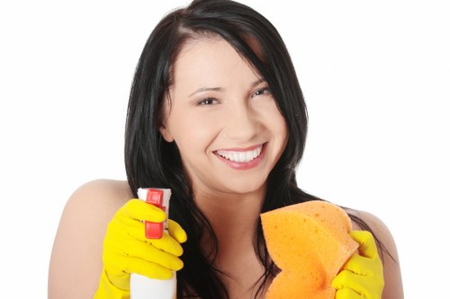 Cleaning supplies and equipment prepared for office cleaning in Croydon