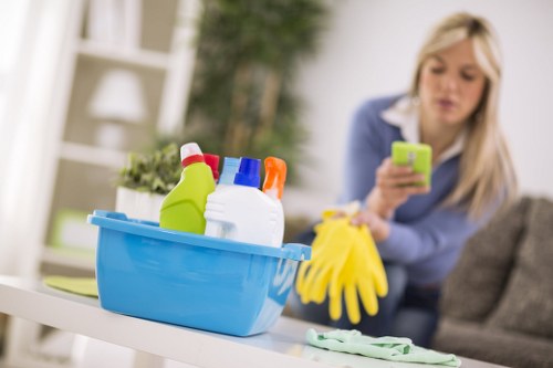 Cleaning a sofa and cushions in a Croydon property